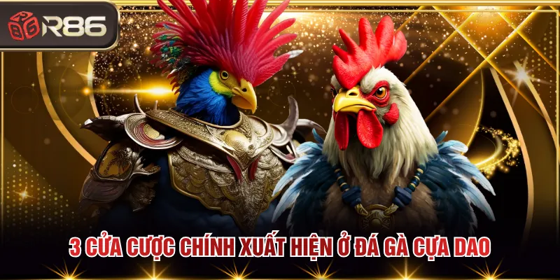 3 cửa cược chính xuất hiện ở đá gà cựa dao