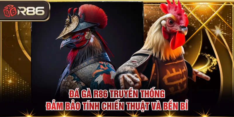 Đá gà R86 truyền thống đảm bảo tính chiến thuật và bền bỉ