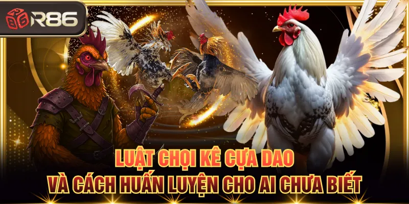 Chọi kê cựa dao